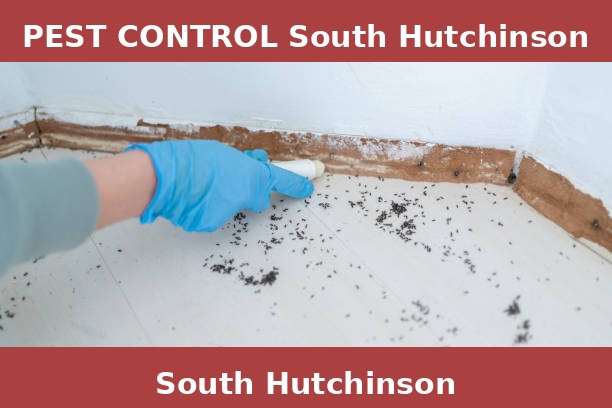 PEST CONTROL South Hutchinson
